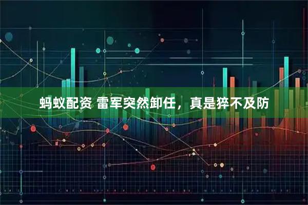 蚂蚁配资 雷军突然卸任，真是猝不及防
