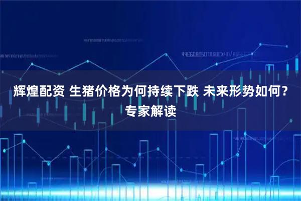 辉煌配资 生猪价格为何持续下跌 未来形势如何？专家解读