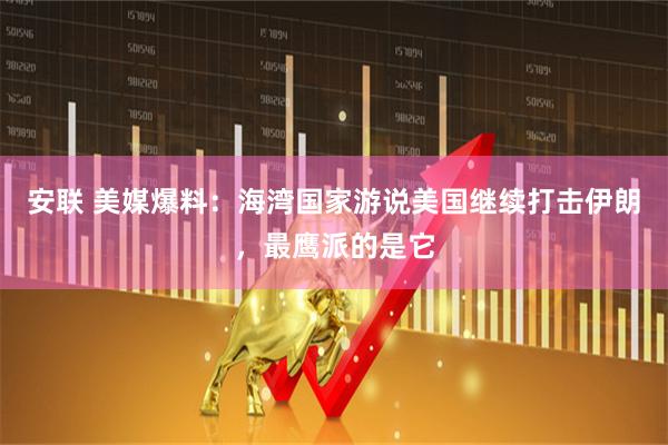 安联 美媒爆料：海湾国家游说美国继续打击伊朗，最鹰派的是它